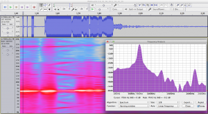 Sonar spectrogram