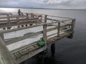 Photo showing the initial deployment of the hydrophone computer system new the outer edge of the wharf